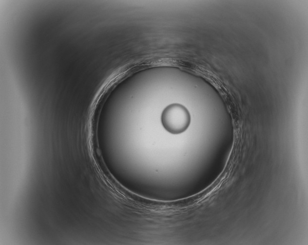 X0000115410293200911101617