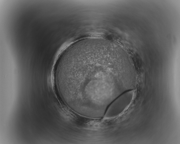 X0000115410294200911101617