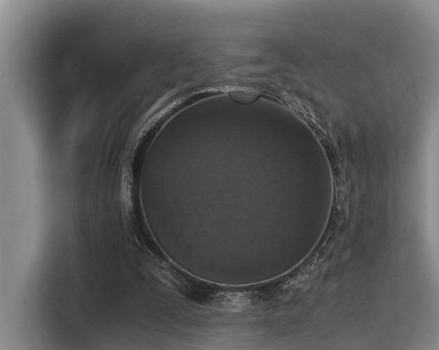 X0000115410295200911101617