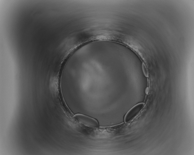 X0000115410297200911101617