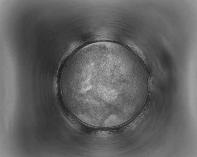 X0000115410298200911101617