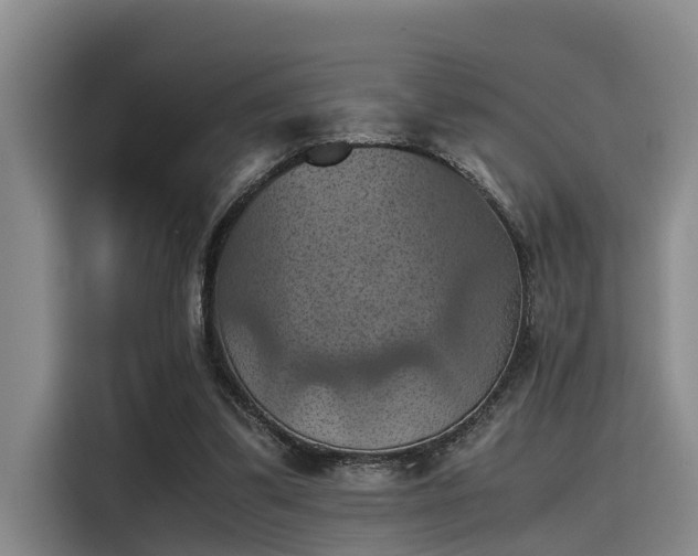 X0000115410299200911101617