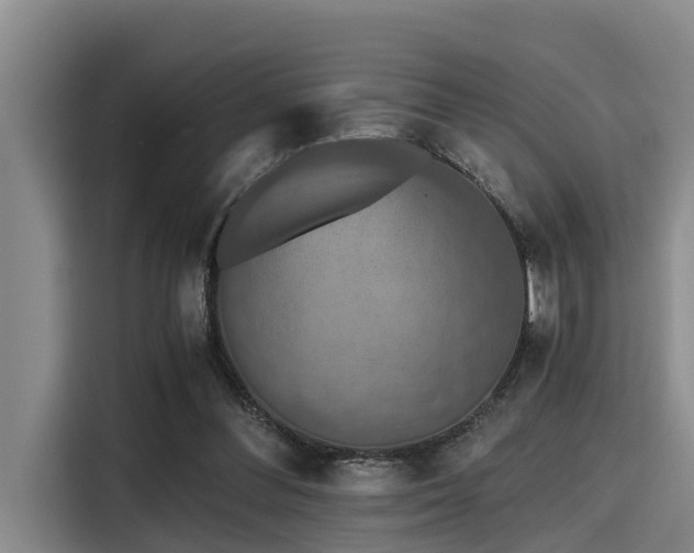 X0000115410300200911101617