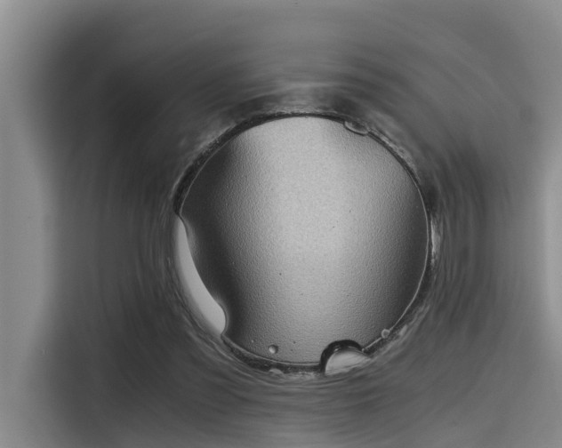 X0000115410301200911101617