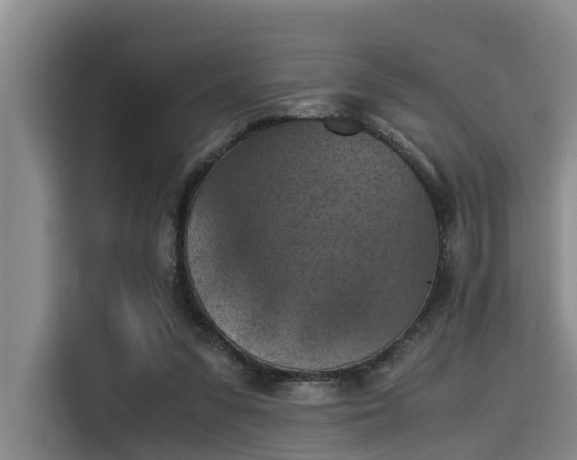 X0000115410303200911101617