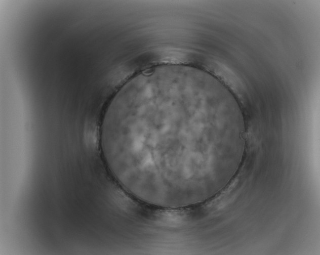 X0000115410305200911101617