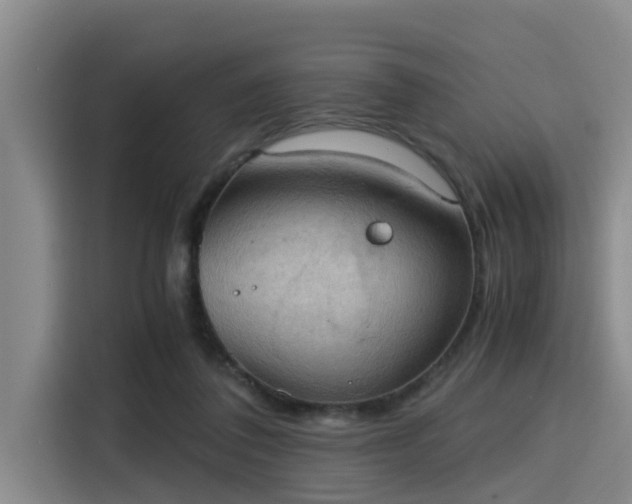 X0000115410308200911101617