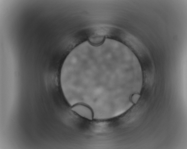 X0000115410313200911101617