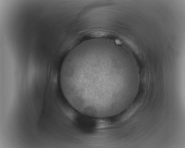 X0000115410315200911101617