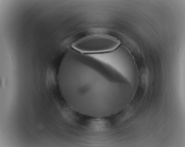 X0000115410316200911101617