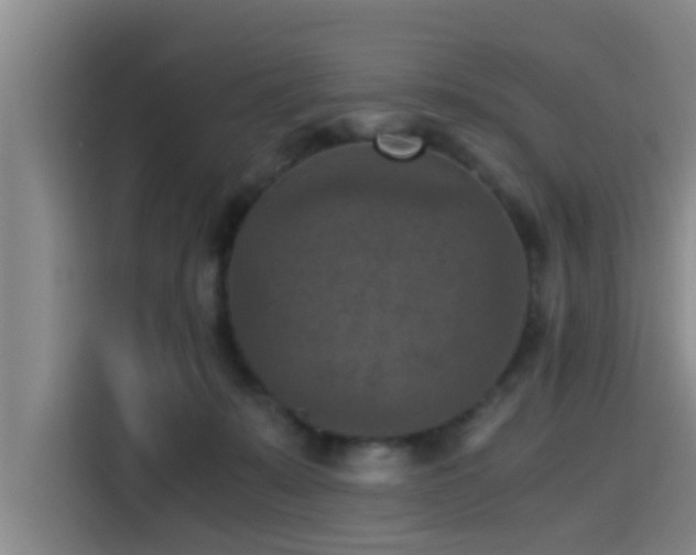 X0000115410319200911101617