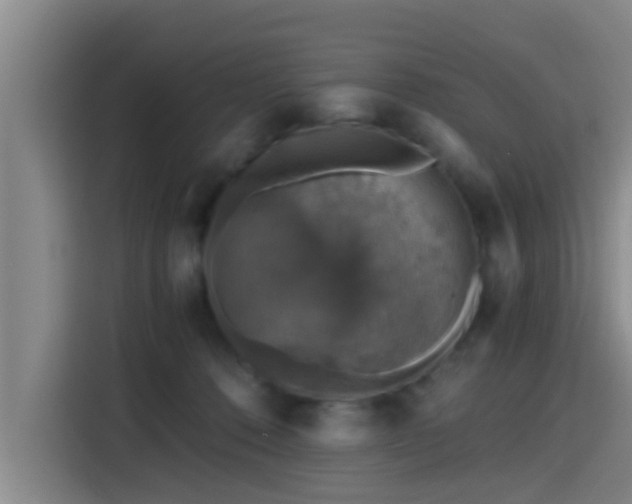 X0000115410320200911101617