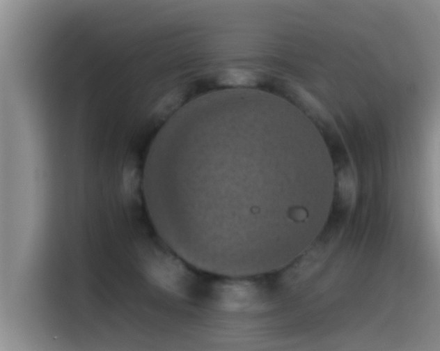 X0000115410322200911101616