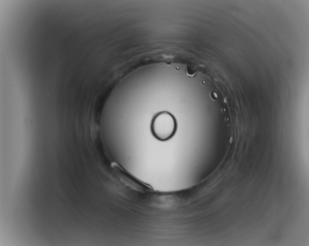 X0000115410324200911101616