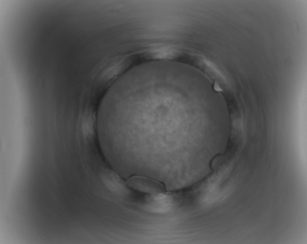 X0000115410325200911101616