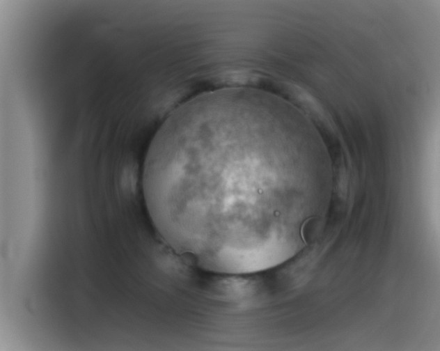 X0000115410326200911101616