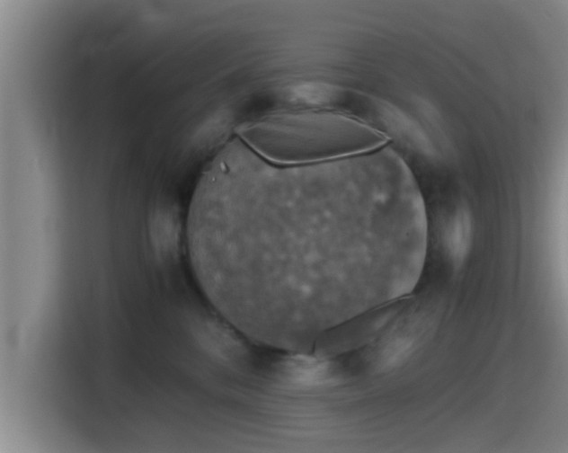 X0000115410328200911101616