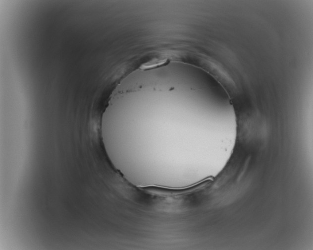 X0000115410329200911101616