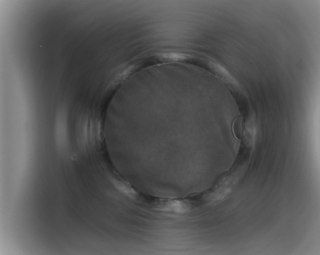 X0000115410330200911101616
