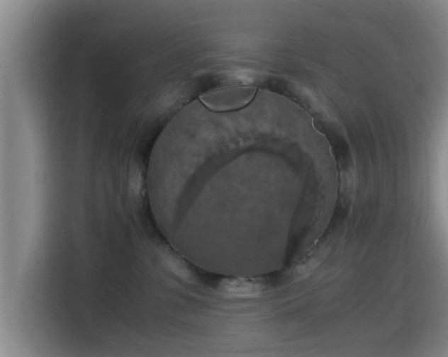 X0000115410331200911101616