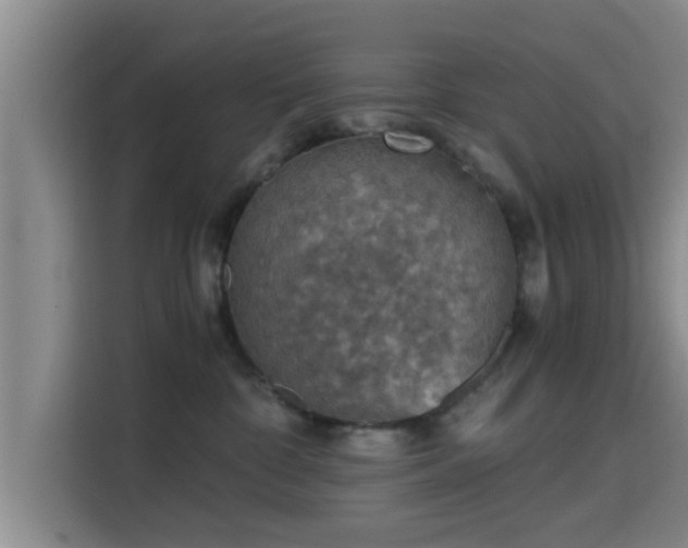 X0000115410332200911101616