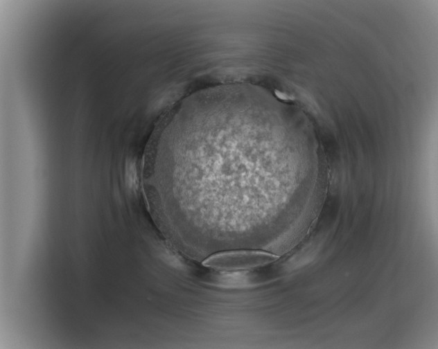 X0000115410335200911101616