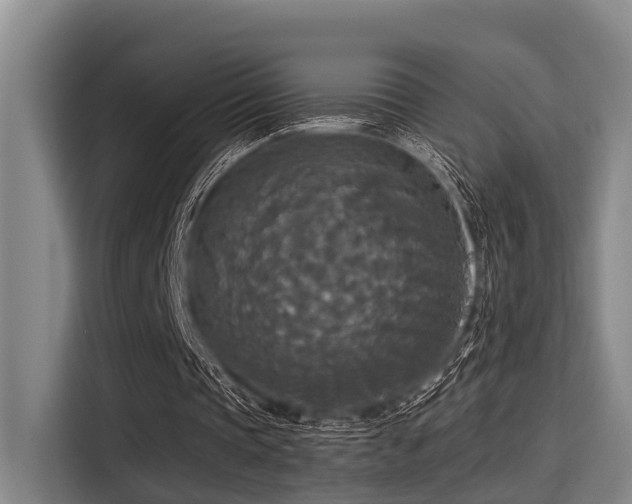X0000115410337200911101616