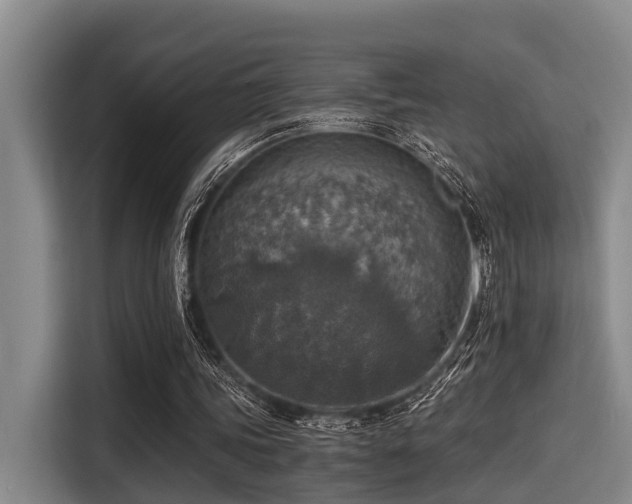 X0000115410339200911101616