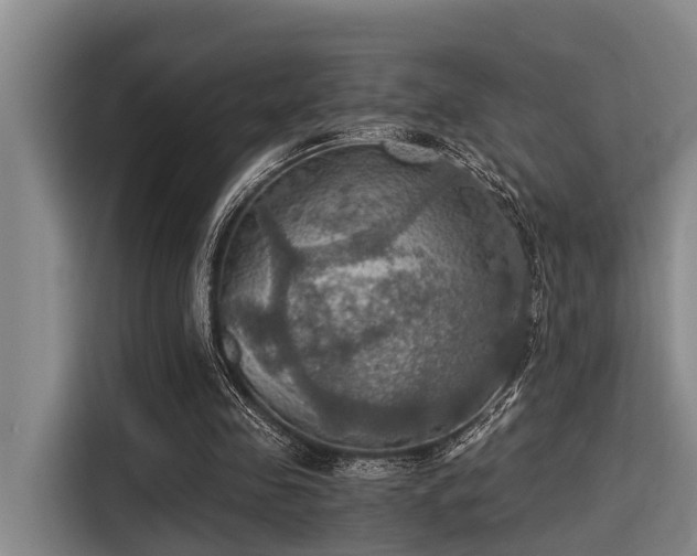 X0000115410341200911101616