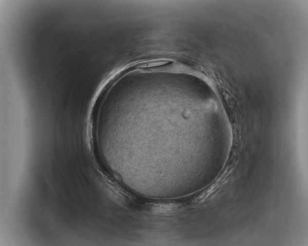 X0000115410342200911101616