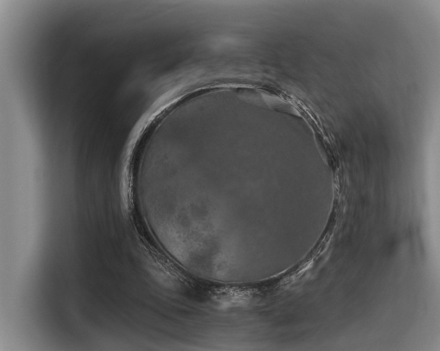 X0000115410343200911101616