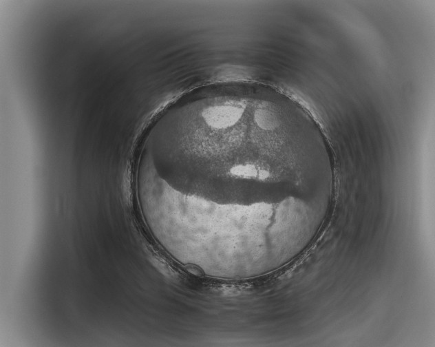 X0000115410345200911101616