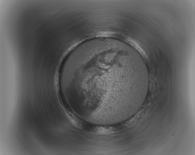 X0000115410346200911101616