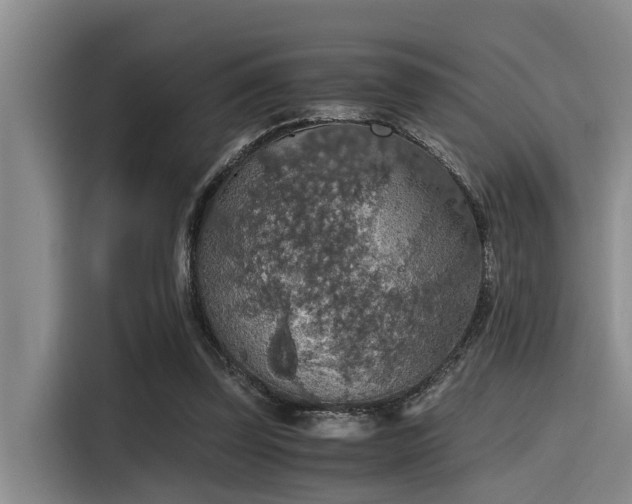 X0000115410347200911101616