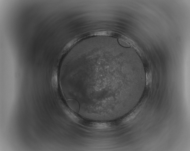 X0000115410349200911101616