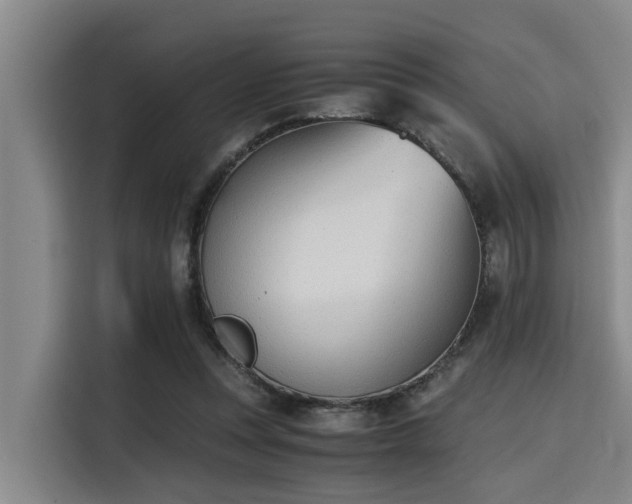 X0000115410351200911101616