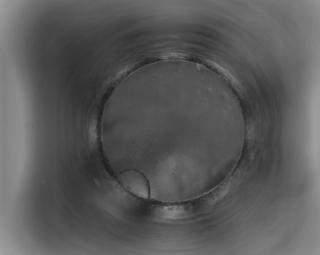 X0000115410353200911101616