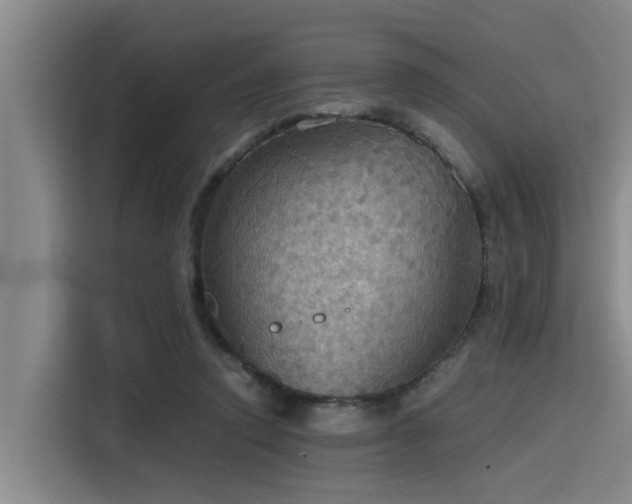 X0000115410354200911101616