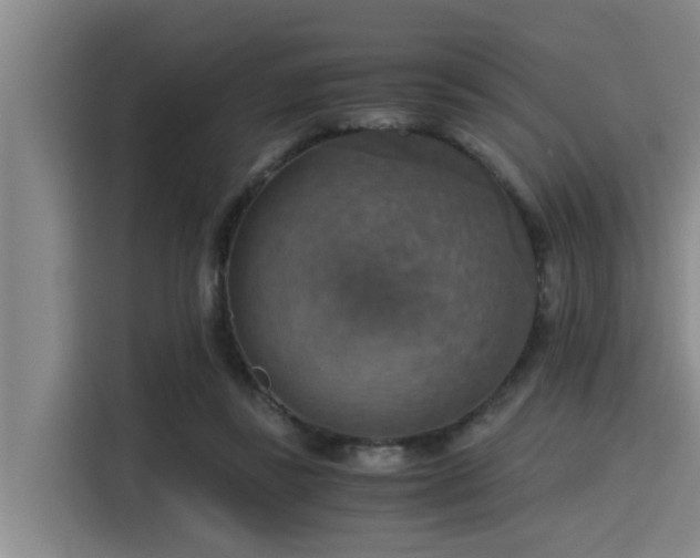 X0000115410355200911101616