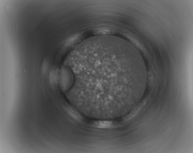 X0000115410361200911101616