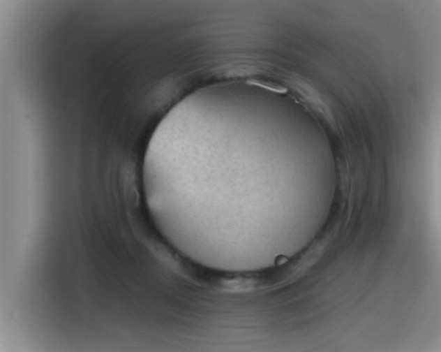 X0000115410362200911101616