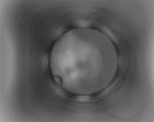 X0000115410363200911101616
