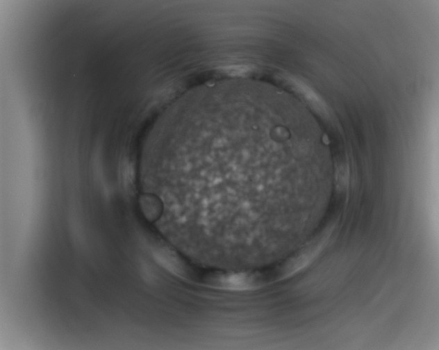 X0000115410365200911101616
