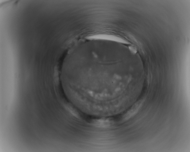 X0000115410366200911101616
