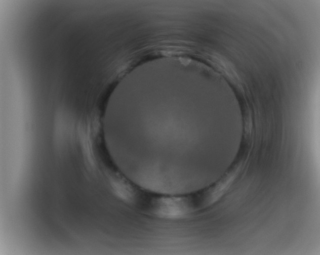 X0000115410367200911101616
