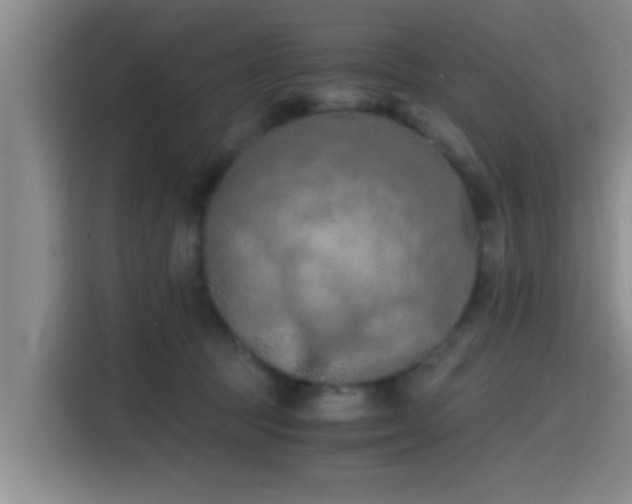 X0000115410369200911101616
