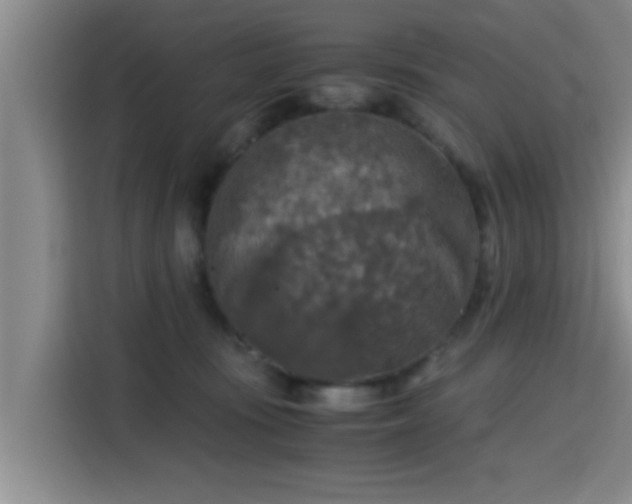 X0000115410371200911101616