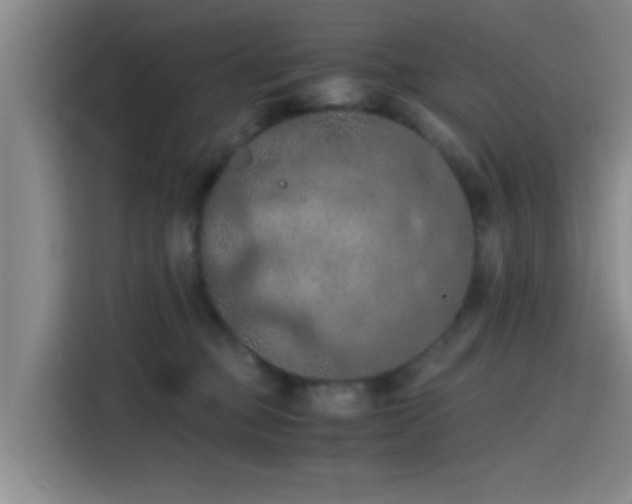 X0000115410373200911101616