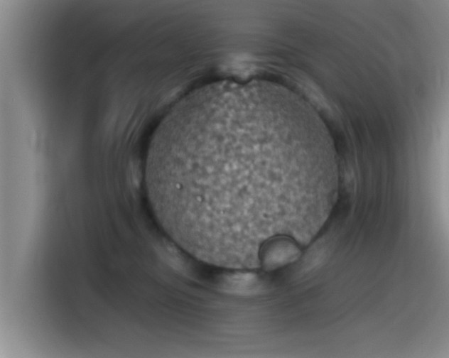 X0000115410374200911101616