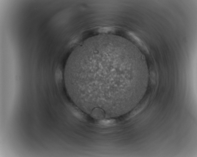 X0000115410375200911101616